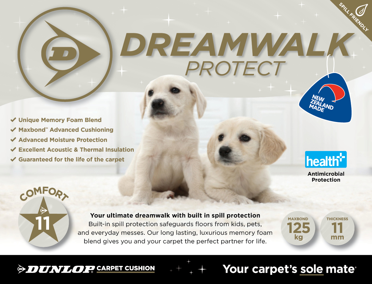 Dreamwalk Protect